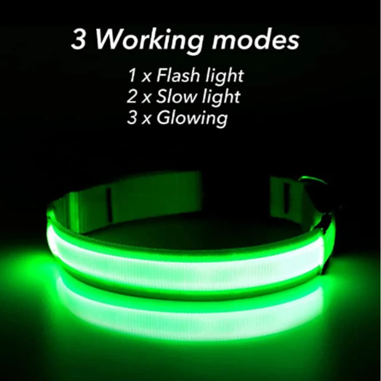 Green LED dog collar showing flash and glow modes