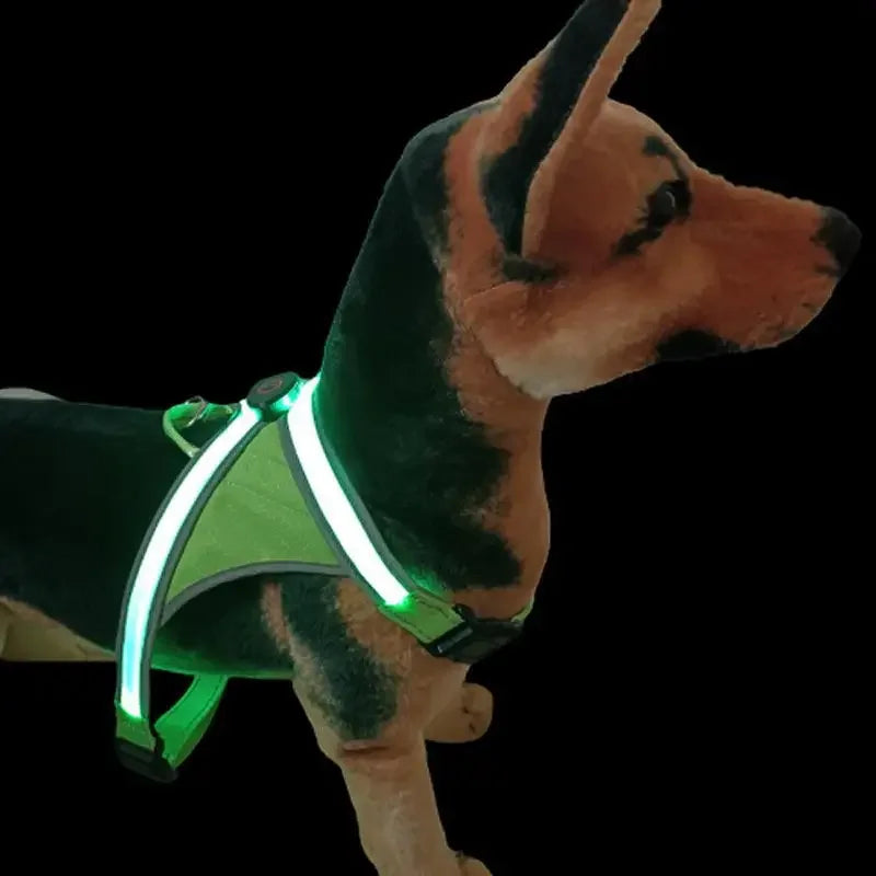 Toy dog wearing green LED harness side profile at night